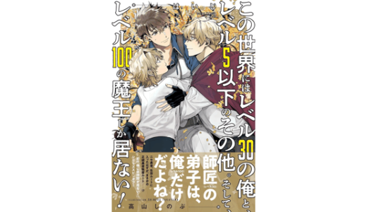 この世界にはレベル30の俺と、レベル5以下のその他。そして、レベル100の魔王しか居ない！