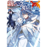 新しいゲーム始めました。～使命もないのに最強です？～11