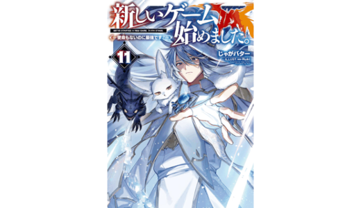 新しいゲーム始めました。～使命もないのに最強です？～11